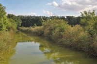 Čejčský potok dnes odvodňuje bývalé jezero