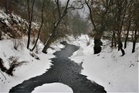 Brněnské vycházky - Zimní vycházka z Bílovic kolem řeky Svitavy (42)