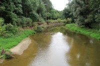 Neregulovaný tok řeky Jihlavy v Bedřichově lese