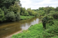Neregulovaná řeka Jihlava v Bedřichově lese