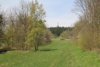Pohled na Horní les od Hlaváčkovy cesty