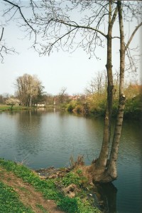 Jezero