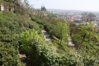 Brno - park Špilberk