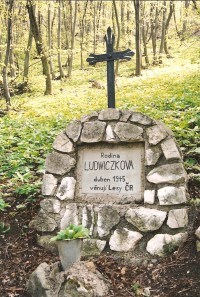 Ludwiczkův kříž