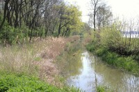 Odvodňovací kanál u rybníka Vrkoč