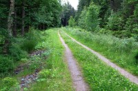 Trasa bývalé lesní železnice na Padrtinách
