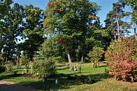 Žampach - arboretum