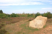 Kraví hora - pamětní kámen Antona Vrbky