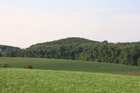 Pohled na kopec Hradisko