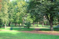 Pohled do parku