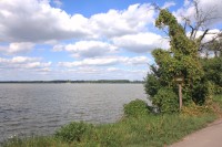 Zámecký rybník Ptačí oblast Jaroslavické rybníky