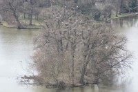 Lednický park - Volavkové ostrovy