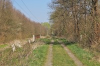 Bývalá Mušovská silnice