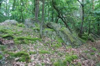 Bohutické skalky jako skalní výchozy jsou roztroušenyv lesích nad obcí