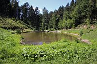 Rybník v údolí Rakoveckého potoka