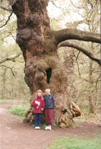 Sherwood Forest Country Park