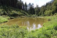 Rybník v údolí Rakovce