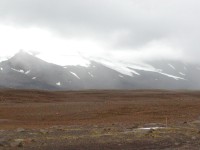 Island není zelený ostrov - je to pustina bez ničeho, pokud něco vypadá zeleně je nějaká řasa, travnaté plochy jsou minimální