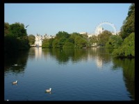 St. James´s park