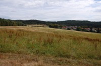 Pohled na část obce Hůrky cestou k Holoubkovu