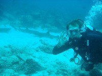 potápění se žraloky, Galapágy