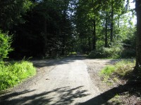 Křižovatka lesních cest U Huberta
