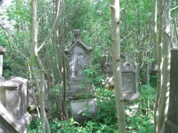 Německý hřbitov ve Vidžíně