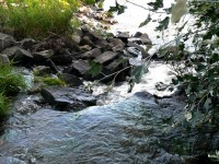 Splav řeky Moravy