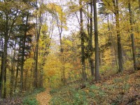 Josefovským údolím2 - podzim 2012