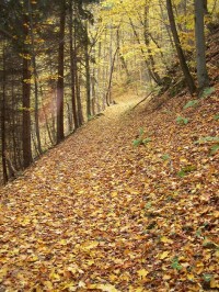 Josefovským údolím3 - podzim 2012