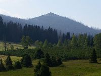 Luzný, (německy Lusen, 1373 m n.m.), v Národním parku Bavorský les patří k nejkrásnějším vrcholům Šumavy Národní park Bavorský les - Luzný