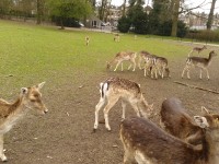 Sonsbeek Park, Arnhem