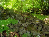 Detail kamenné zdi