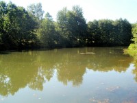 Chotovický rybník