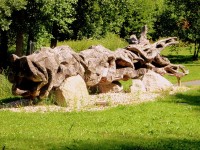 Dřevěný drak