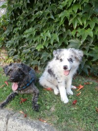 fotka uživatele Gazollka