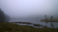Malé Javorové jezero.