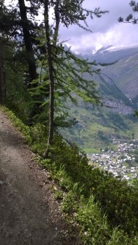 lesní stezka nad Zermattem.