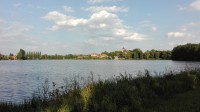 Podzámecký rybník v Rožmitále.