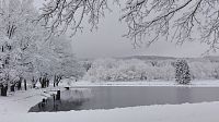 Zimní Vysočina - konečně pravá ladovská zima.