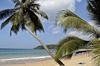 Srí Lanka - pláž v Mirisse  .