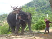 Jízda na slonech na ostrově Phuket.