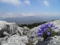 pohled z Monte Tuttavista k Orosei.