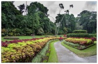 Botanická zahrada v Kandy