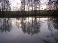 rybník na Suché Kamenici