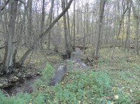Řeka Jelenka