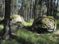 Slavník, kameny v lese