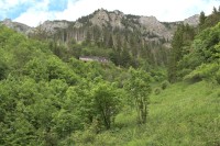 Pohled z údolí na chatu Plesnivec