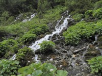 Potok v Dolině sedmi pramenů