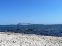 Pláž Cala d´Ambra, pohled na ostro La Tavolara
